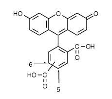 FAM|5(6)-Ȼɹ